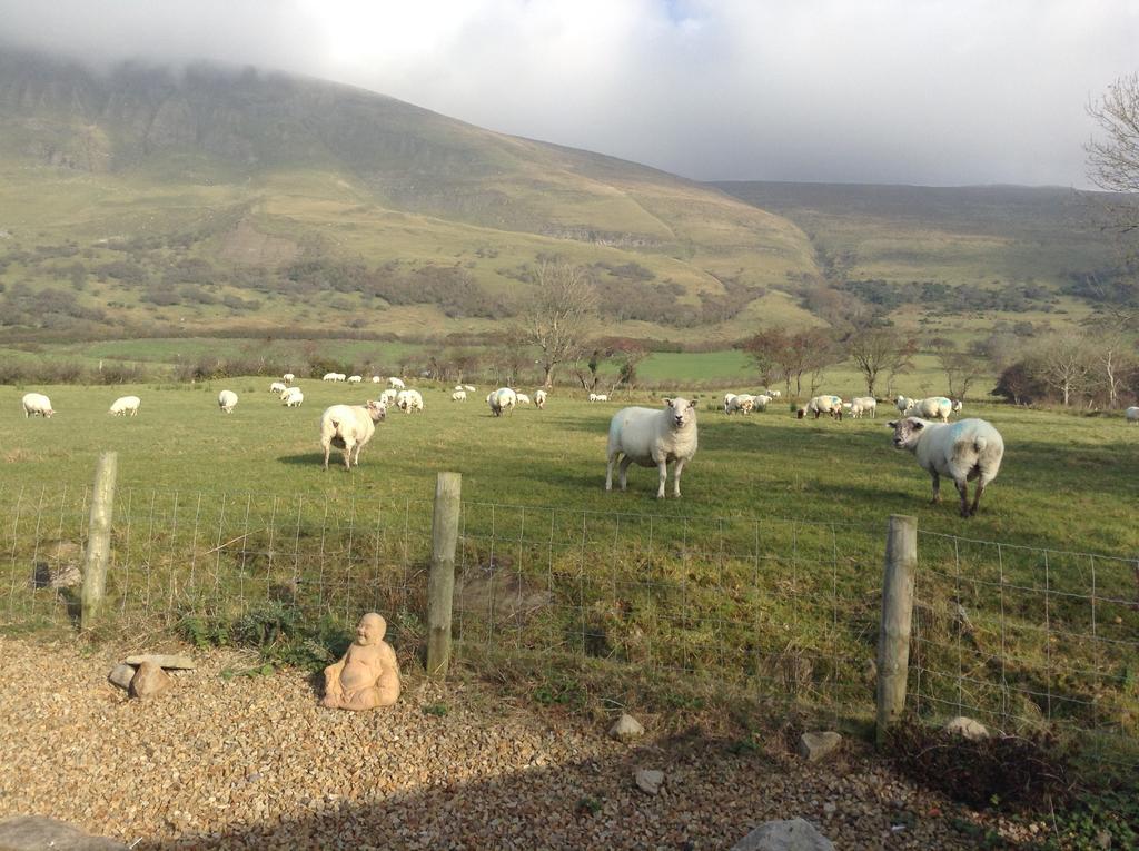 Benbulben Farmhouse B&B Drumcliff 외부 사진