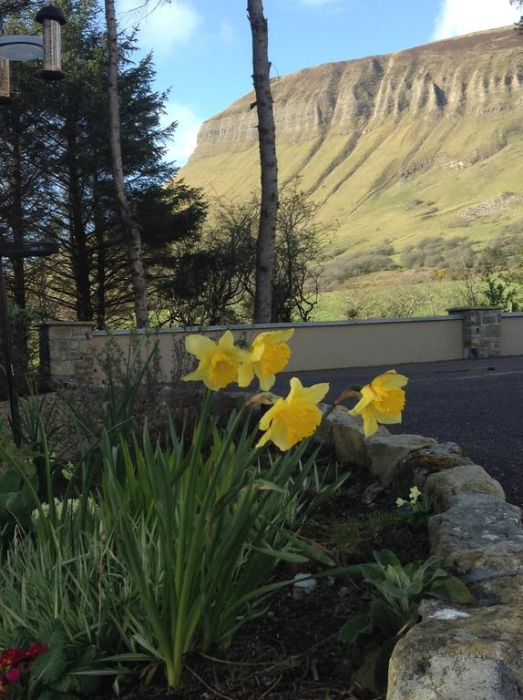 Benbulben Farmhouse B&B Drumcliff 외부 사진